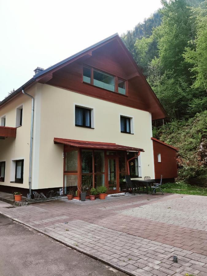 Seeblick Krippenstein Obertraun Exterior photo